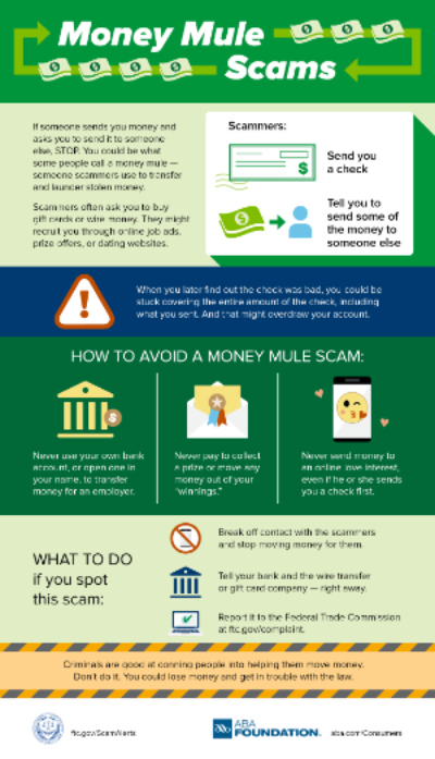 Money Mules graphic